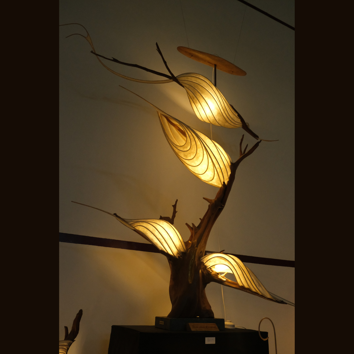 Three Views of a Secret