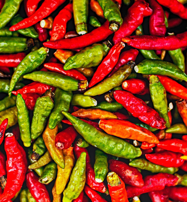 Organic Kanthari Chilli – Naturally Hot & Chemical-Free