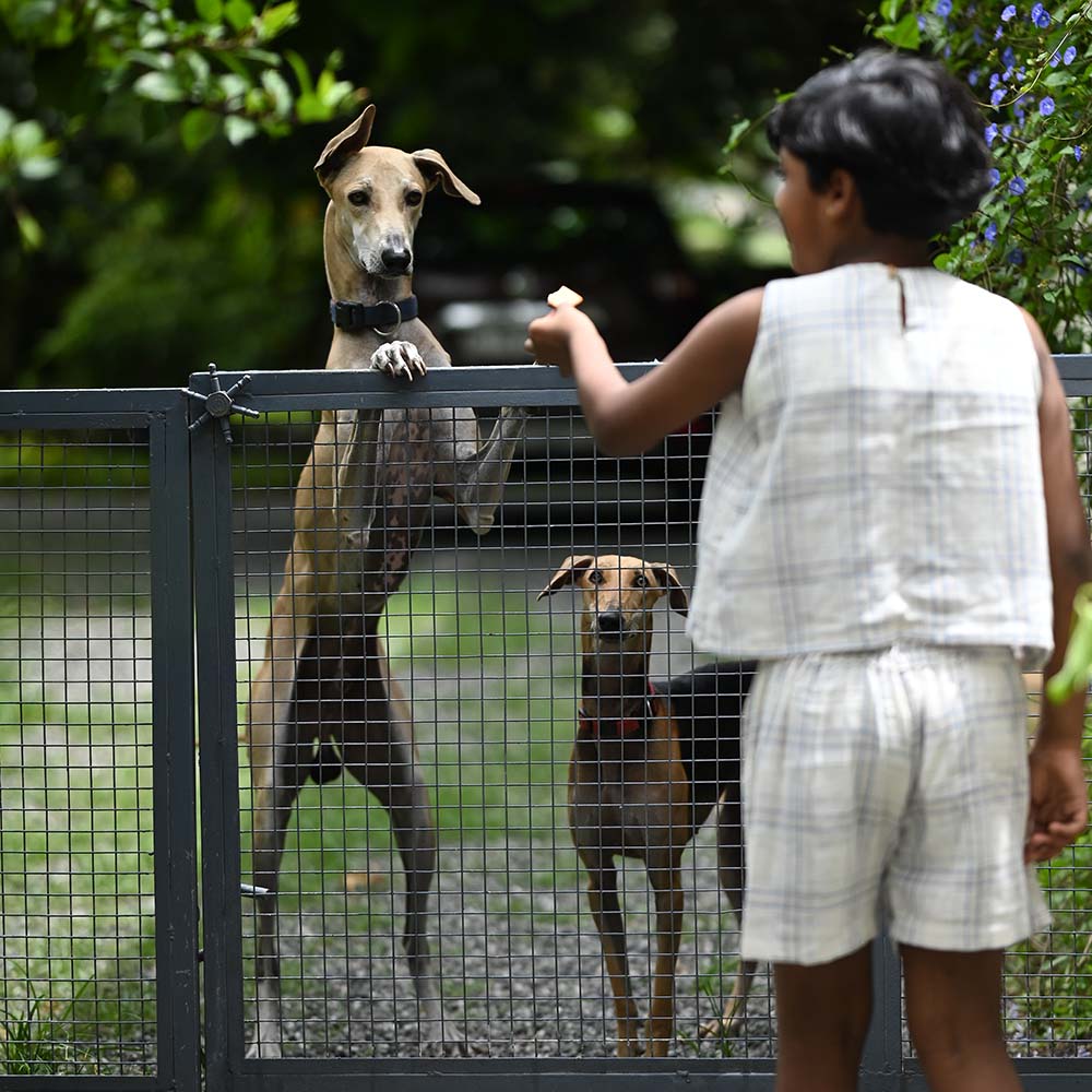 The Cotton Pintucks Top & Shorts Set for Little Adventurers