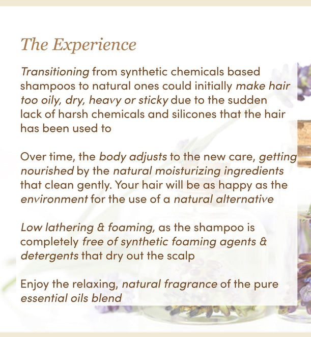 Lavender & Turmeric Infused Shampoo