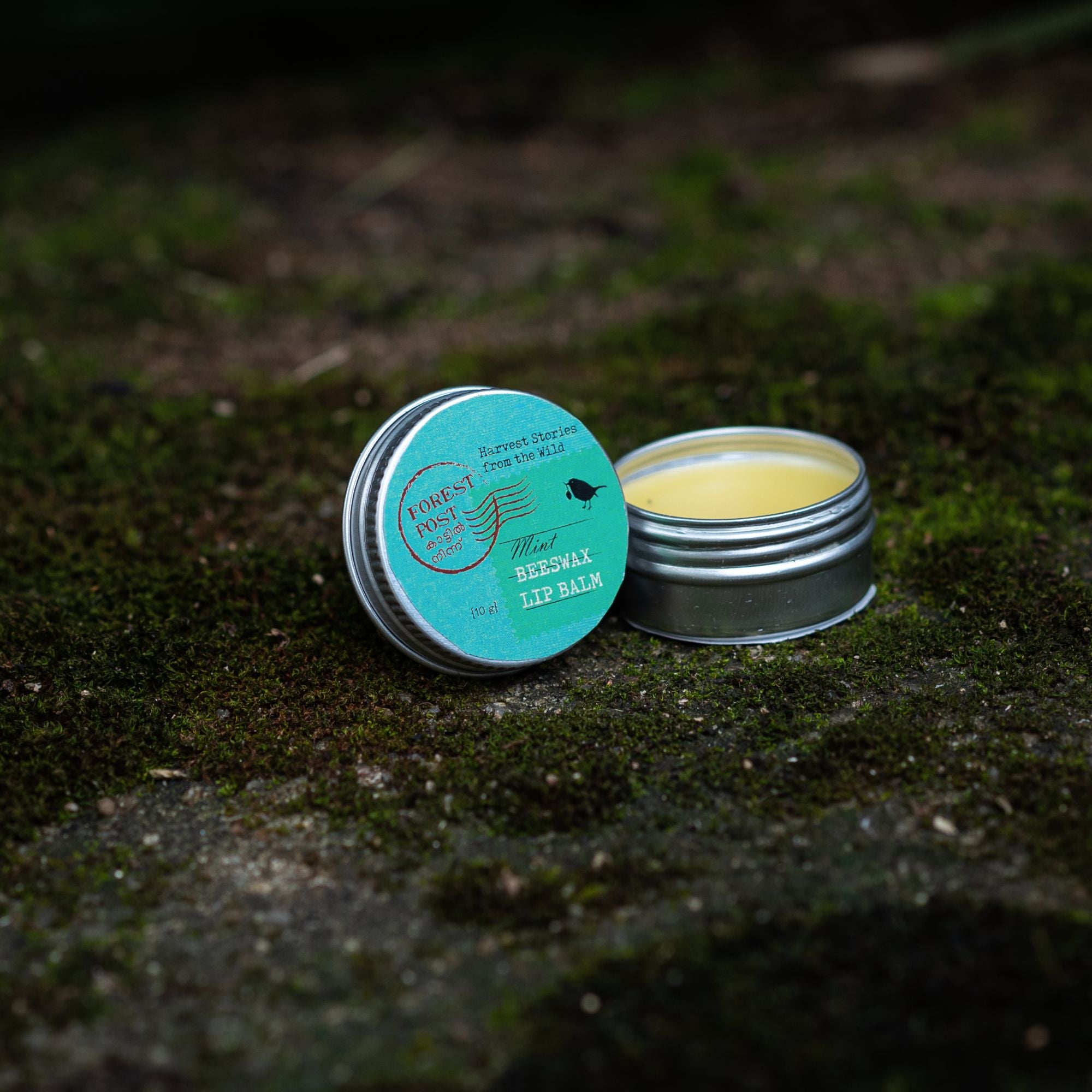Lip Balm Mint 10g