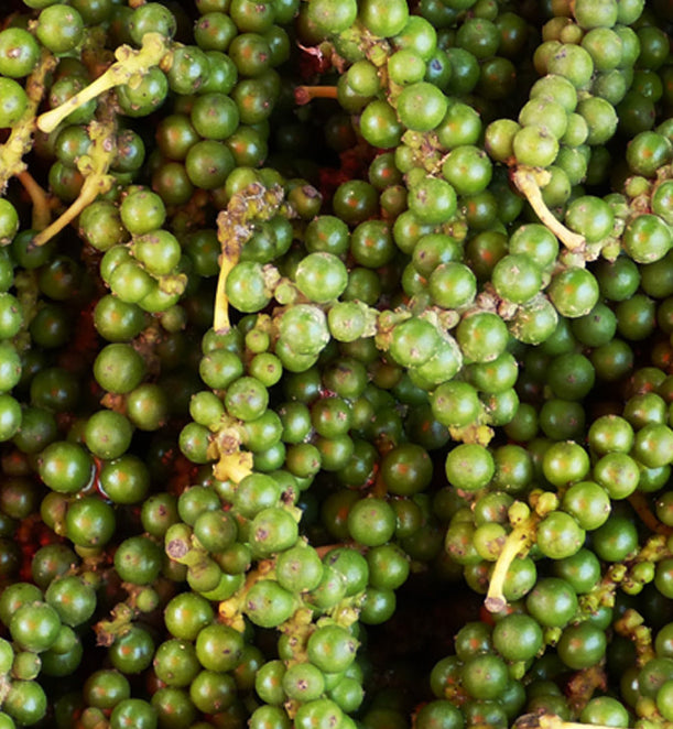 Organic Black Pepper  – Pure & Unadulterated