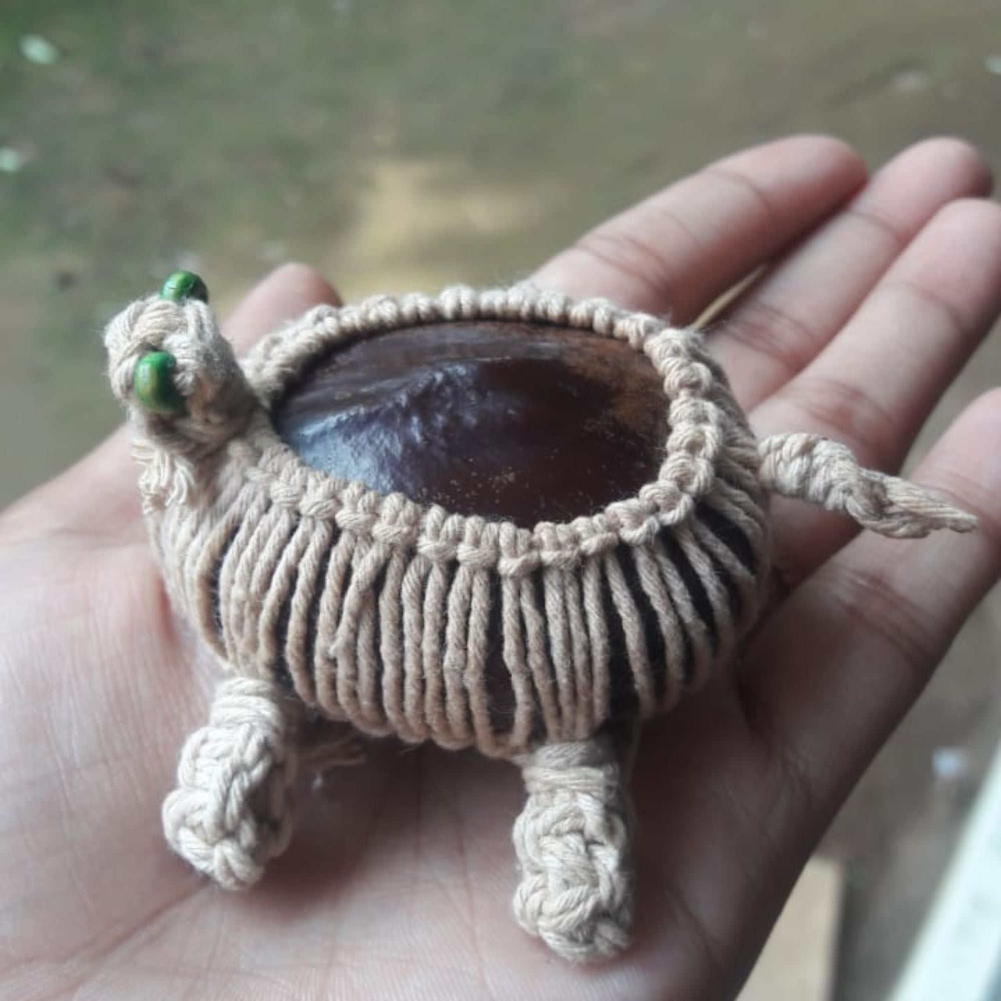 Macrame Seabean Turtle